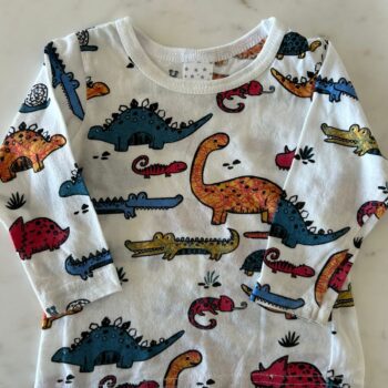 Long sleeved dino sweatshirt 6-9mnths
