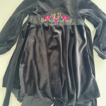 Velvet stunning embroidered dress 3-4yrs