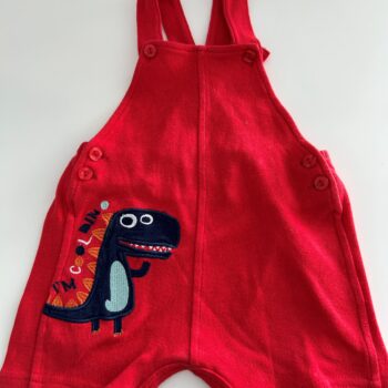 Embroidered dungarees 100% cotton 3-6mnths